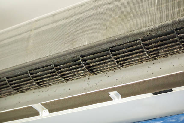 Best Best Air Duct Cleaning Company  in Lakewood Park, TN
