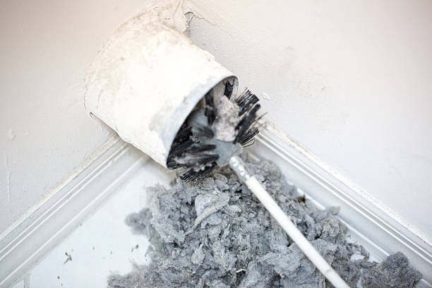 Best Air Duct Sanitizing Services  in Lakewood Park, TN